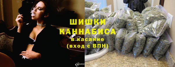 PSILOCYBIN Богородицк