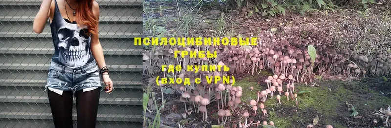 Псилоцибиновые грибы MAGIC MUSHROOMS  Уржум 